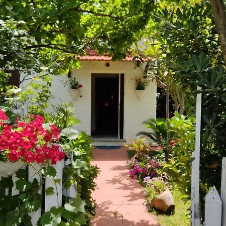 La Corte Delle Rose B&B Praia a Mare Εξωτερικό φωτογραφία