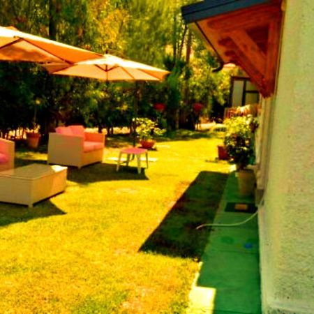 La Corte Delle Rose B&B Praia a Mare Εξωτερικό φωτογραφία