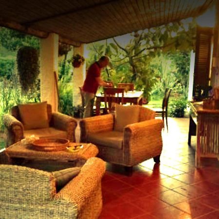 La Corte Delle Rose B&B Praia a Mare Εξωτερικό φωτογραφία