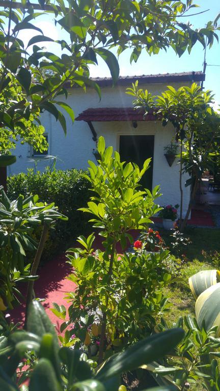 La Corte Delle Rose B&B Praia a Mare Εξωτερικό φωτογραφία