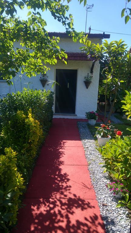 La Corte Delle Rose B&B Praia a Mare Εξωτερικό φωτογραφία