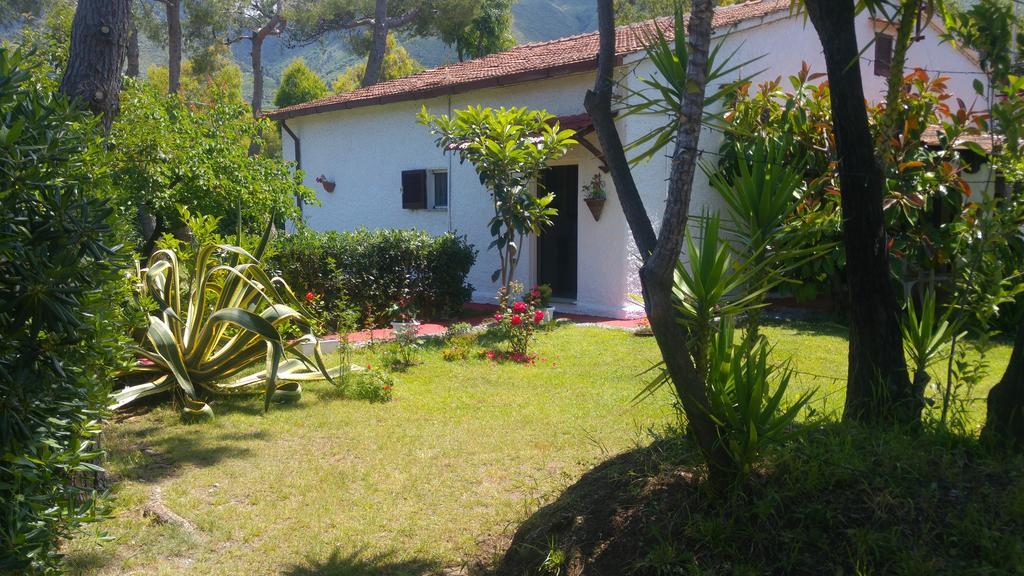 La Corte Delle Rose B&B Praia a Mare Εξωτερικό φωτογραφία