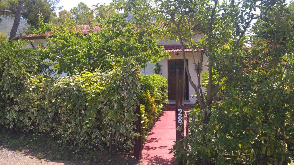 La Corte Delle Rose B&B Praia a Mare Εξωτερικό φωτογραφία