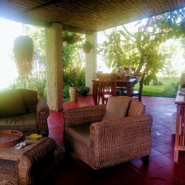 La Corte Delle Rose B&B Praia a Mare Εξωτερικό φωτογραφία