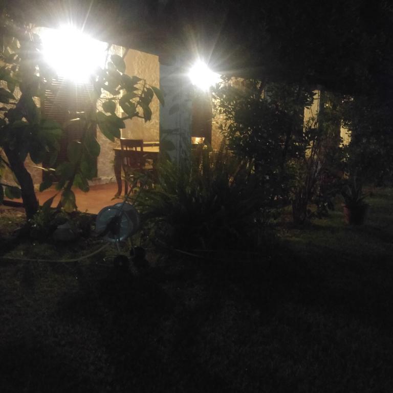 La Corte Delle Rose B&B Praia a Mare Εξωτερικό φωτογραφία